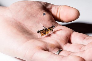Conoce a RoboFly, el primer insecto robótico autónomo