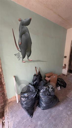 Just hanging with the #rats