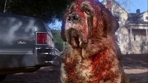 ‘Cujo’ Remake Headed to Netflix