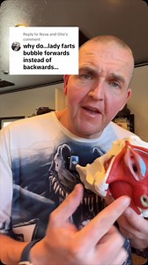 52K views · 22K reactions | Why do some farts sneak up the front? #anatomy #science #medical #farts | SCI Body Therapy | Facebook