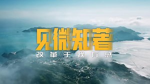 见微知著 改革于我有感_新闻频道_中国青年网