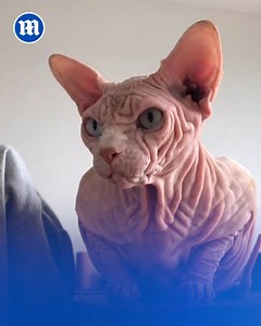 14K views · 163 reactions | He has so many wrinkles!  | Daily Mail Video | Facebook