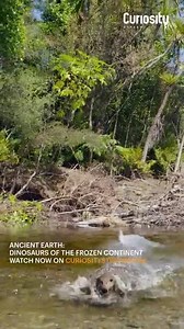 2.9K views · 51 reactions | It’s not Jurassic. It’s not a park. It’s Ancient Earth: Dinosaurs of the Frozen Continent. New today. Join us. 練秊 | Curiosity Stream | Facebook