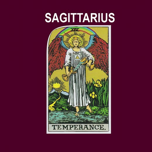 the temperance card upright represents patience, moderation, & balance in reverse bojack and rick use substances to outrun trauma & self pity choosing to overindulge in toxicity instead of healing. lack of self regulation 4 both #temperance #tarotedit #majorarcana #learntarot #tarotreading