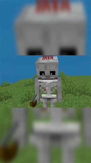 esqueleto do Java vs do bedrrock