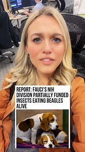 Fauci Lied, Dogs Died? Shocking Truths & Viral Hacks! From shocking claims to secret menu hacks—here’s everything you didn’t know about Fauci, viral challenges, and KFC’s hidden menu! 🐶🍗🔥 #fauci #pradabucketchallenge #kfcsecretmenuhacks #conspiracy #viralchallenge #tiktoktrends #controversy #secretmenu #foodhacks #mustwatch | Welsh Corgi