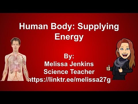 Human Body Systems: Supplying Energy