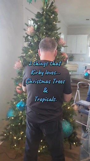 4.2K views · 124 reactions | A truly unique coastal Christmas tree blending tropical flowers with an underwater coral reef theme! #blossomsofchipley #decorating #christmastree #tropical #coastal | Blossoms | Facebook