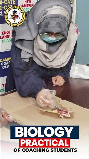 🔬 Frog Dissection Practical - Real Biology Learning in Action! 🐸 Video 2