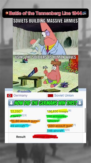 💥Battle of the Tannenberg Line 1944🇪🇪|| World War 2 Memes