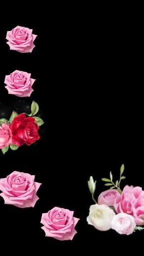 Valdemar Trevisan on Reels