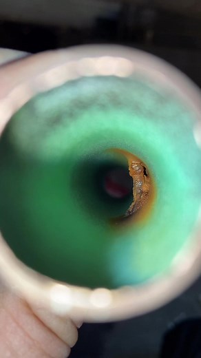 P B Plumber on TikTok