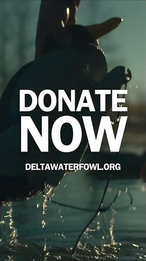 Help us fill every flyway! 🦆 Delta Waterfowl's Million Duck Campaign