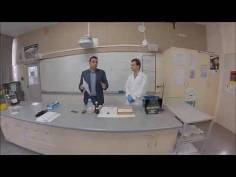 Stage 2 Biology Practical Method Measuring the rate of Respiration in Yeast