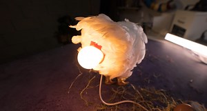 178K views · 333 reactions | Bunny-Approved Crafts And Tricks To Make Easter Magical! | 5-Minute Crafts Play | Facebook