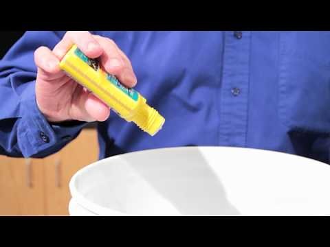 How to Care for Dwarf Frogs