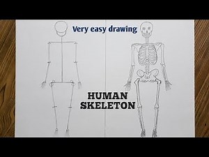 How to draw human skeletal easily / skeletal drawing step by step || Amazing art's||