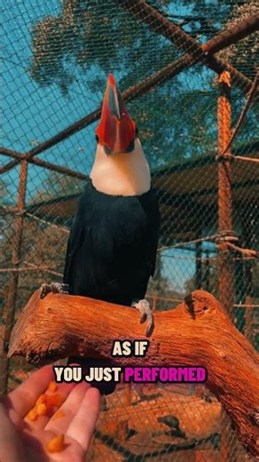 This Bird Eats Every 15 Minutes… No Joke!