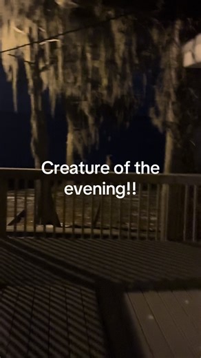 user9218526147286 (@user9218526147286)’s videos with Supernatural Ambient_UMA, UFO, Ghost, Haunted, Doomsday Prophecies, Alien Encounters, Life After Life, Bermuda Triangle, Psychic(1094836) - Ney