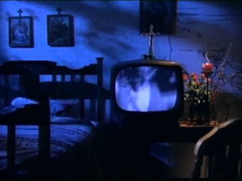 The Graces - Perfect View