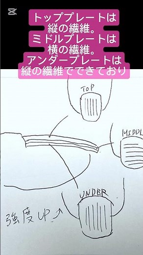 【ネイルの勉強】爪の構造から学ぼう サンディングして良い箇所とは ジェルネイルを長持ちさせる為に