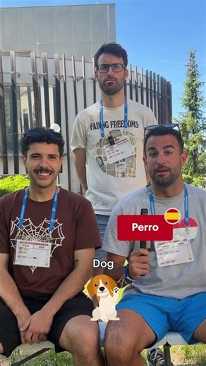 Spanish vs. Catalan vs. Basque: how similar are they? #spanish #spain #españa