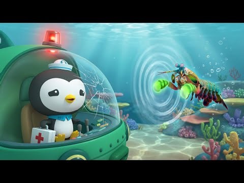 The Octonauts and the Mantis Shrimp's Powerful Punch! 🥊 Gup-E Attack!