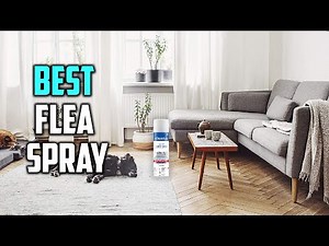 Top 5 Best Flea Spray [Review in 2023] - Tick Home Spray for Cats & Dog