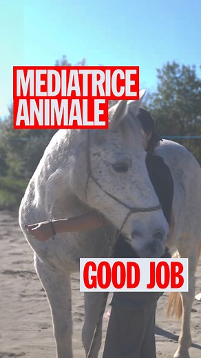 La thérapie par les animaux ? Brigitte Gadd, cofondatrice de l’association Chevals d’Espoir, est médiatrice animale depuis plus de vingt ans. Autisme, phobie scolaire, difficultés à gérer leurs émotions : elle accueille des jeunes aux parcours parfois très lourds. Grâce à la relation qu’ils tissent avec le cheval, ils parviennent peu à peu à mieux se comprendre et à apaiser leur rapport aux autres. | Konbini