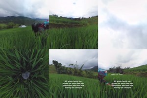 322K views · 17 reactions | Sapa in northwest Vietnam is a place of rice terrace farming. Hear from Mái, a Hmong rice farmer, on how the changing climate is affecting the rice harvest. | Video From The New York Times | Facebook