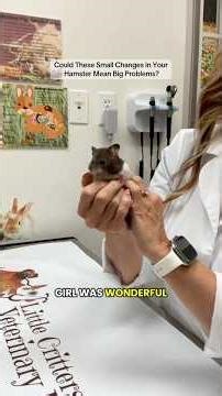 Could These Small Changes in Your Hamster Mean Big Problems?