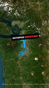 These weird North American sports will astonish you! #Northamerican #American #diving #octopus #skiing #sports #hockey #Canada #USA | Worldatlas.com