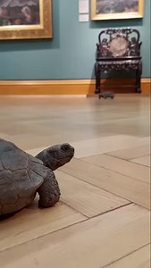 798 reactions · 137 shares | From a sketch on the back of an envelope to grand, elaborate chalk drawings, this exhibition offers a rare chance to see our internationally renowned collection of Pre-Raphaelite works. Book now! | Ashmolean Museum | Facebook