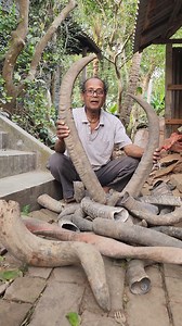 2.2M views · 11K reactions | Amazing Comb Manufacturing Process Using Animal Horn | Our Collection | Facebook