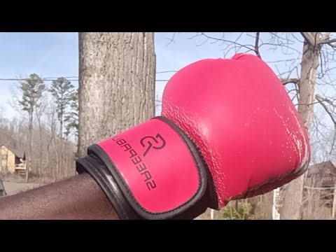 Tree boxing🌳🥊 3/14/26