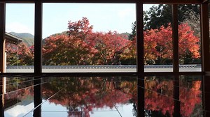 533K views · 10K reactions | El portal para conocer todo sobre Japón El sitio Web Japan comparte todo sobre las últimas tendencias en Japón, la tradición, la cultura pop✨, la gastronomía ¡y muchas cosas más! ¡Descubre más sobre Japón a través de la página #WebJapan! | Web Japan | Facebook