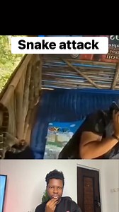 Snake attack 😱😱 | Travis React