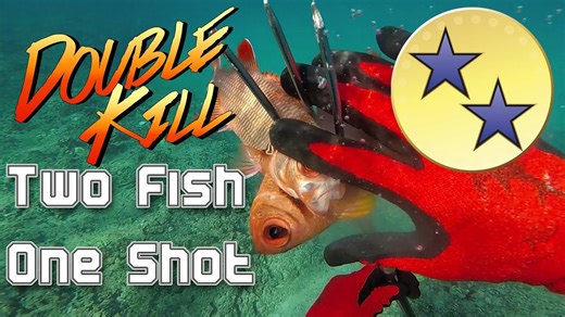 Spearfishing Double Kill Menpachi Catch and Cook in Oahu, Hawaii