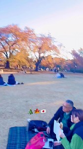 Shinjuku Gyoen (新宿御苑) is one of Tokyo's largest and most popular beautiful🍁 parks. Famous for its three distinctive gardens. Located a short walk from Shinjuku Station 📍 Shinjuku Gyoen National Garden #AjetkuletTv #japan #Autumn | Ajetkulet TV