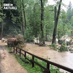 Der Eifel-Zoo in Lünebach steht unter Wasser. Am Freitag konnten mehrere Raubkatzen und ein Bär nicht aufgefunden werden. Deshalb wurde von der Kreisverwaltung Bitburg-Prüm gewarnt, die Tiere seien ausgebrochen. Tatsächlich war nur der Bär aus seinem Gehege entflohen. Er wurde erschossen. | SWR Aktuell