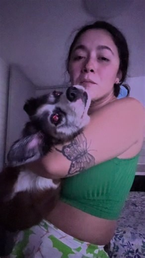 Anoche me disfruté el concert con mi Ruby y desde que salió Weltita siempre se la canto 🥹 Ruby es lo mejor que ha pasado en mi vida desde hace 10 años 🩷🫶🏽 #fyp #foryou #puertorico #badbunny #dogsoftiktok