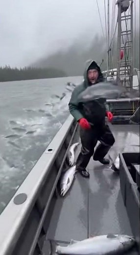 This Alaskan River EXPLODED Salmon Jumping OUT OF CONTROL onto Our Boat! 🤯