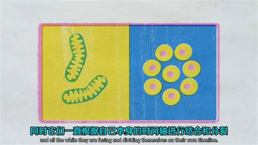 【TED-Ed】你从父母那里没有遗传来的基因（但也离不开它们）