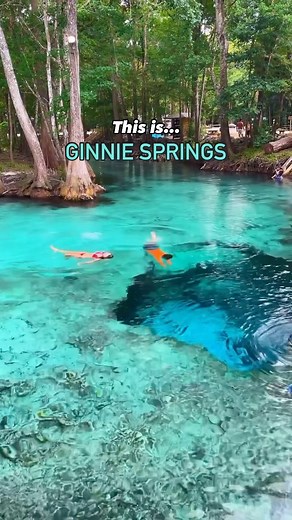 29K reactions · 310 shares | Welcome to paradise in Florida  Where...