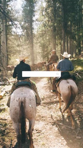 1.9K views · 238 reactions | Like someplace out of a Western film....