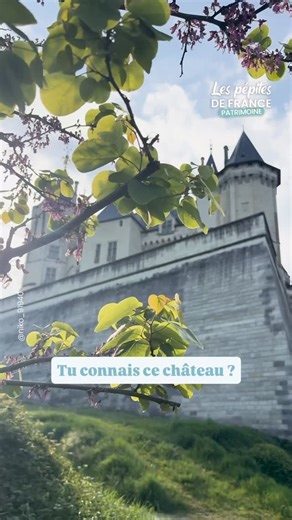 Les Pépites de France on Instagram: "Le château de Saumur, vu par @niko_91940… à couper le souffle 😍🏰 Perché au-dessus de la Loire, ce bijou du Maine-et-Loire semble tout droit sorti d’un rêve 📍 Ses tours, ses remparts, sa vue imprenable… difficile de ne pas s’arrêter pour l’admirer 😍 Tu l’avais déjà vu sous cet angle ? 👉🏼LIEN EN BIO : Découvrez toutes nos pepites sur notre appli gratuite dispo sur iOS & Android #lespepitesdefrance #patrimoine #tourisme"