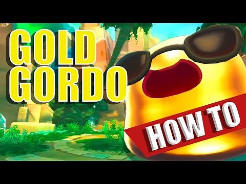 How to Catch GOLD Gordos FAST AND EASY | Toasty Tips