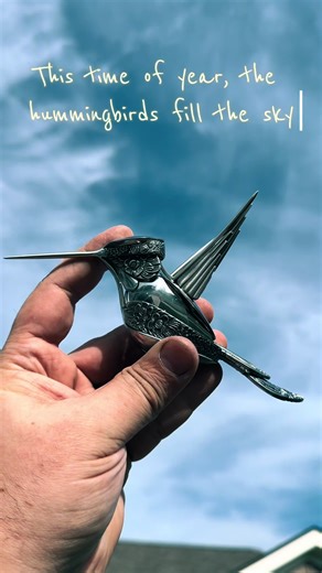 Hummingbirds: A Lesson in Stopping to Smell Flowers