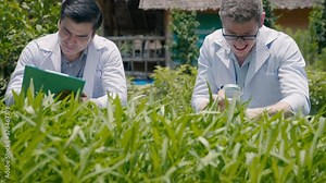 Two Biotechnology man engineer holding magnifying glass and looking at the vegetables leaf in hydroponics farm for disease, Professional researcher agriculture scientist take note in clipboard
