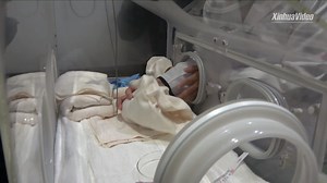 428K views · 4.3K reactions | A male giant #panda cub has been born at a zoo in Western #Japan's Wakayama Prefecture, local media reported Monday. The baby panda and his 20-year-old mother are both in good health, officials of the facility said. | China Daily | Facebook